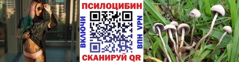 Галлюциногенные грибы прущие грибы Правдинск